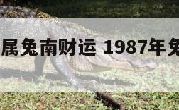 1987年属兔南财运 1987年兔财运怎么样