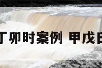 甲戊日丁卯时案例 甲戊日甲戊时