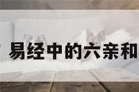 易经六亲工作 易经中的六亲和六神都指哪些