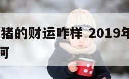 2019属猪的财运咋样 2019年属猪的财运如何