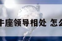 怎样与金牛座领导相处 怎么和金牛座