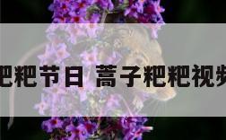 蒿子粑粑节日 蒿子粑粑视频教程