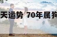 70年属狗今天运势 70年属狗今天运势及运程