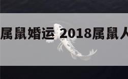 2018年属鼠婚运 2018属鼠人全年运势男