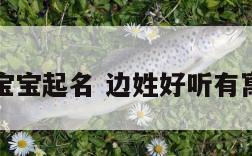 边姓狗宝宝起名 边姓好听有寓意名字